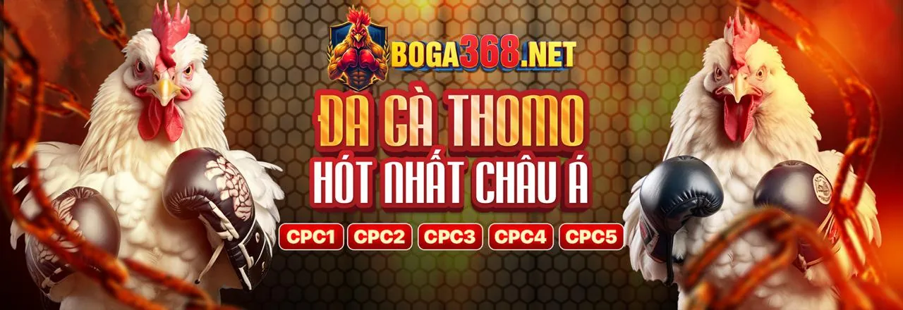 Banner khuyến mãi đá gà go666 link mới
