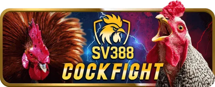 Quà Tặng Sinh Nhật & Sự Kiện Độc Quyền go666 link mới